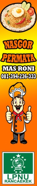 banner 120x600