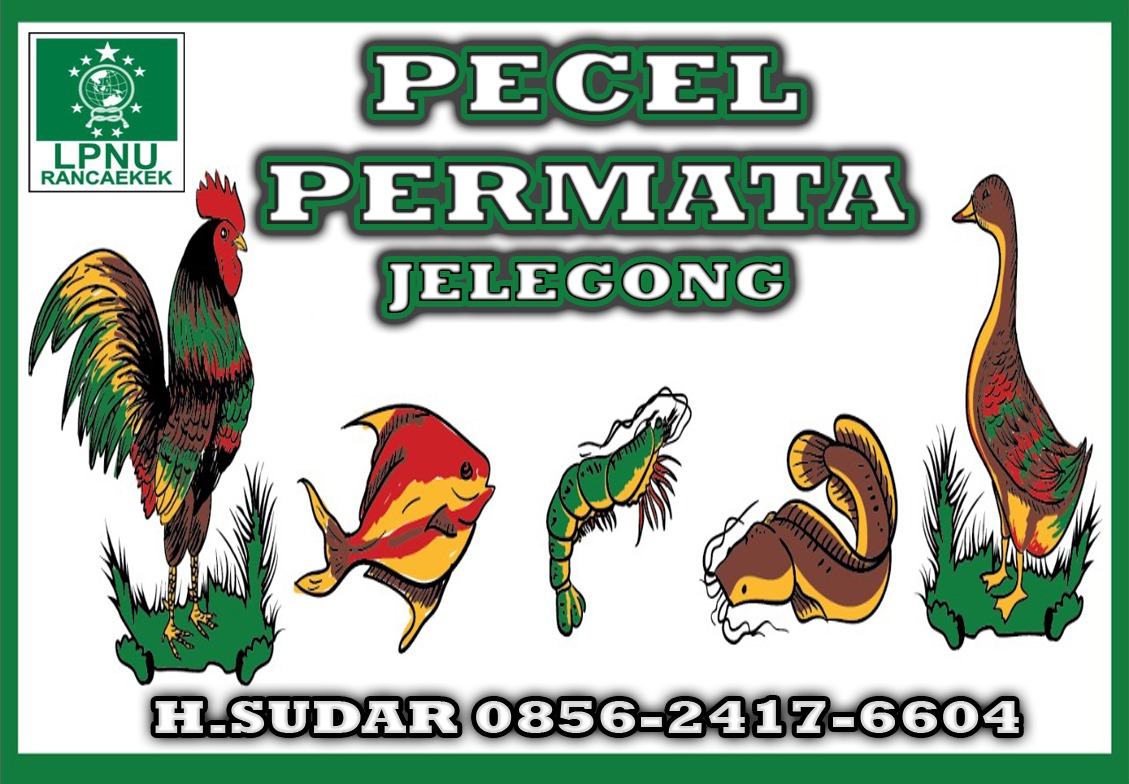 banner 336x280